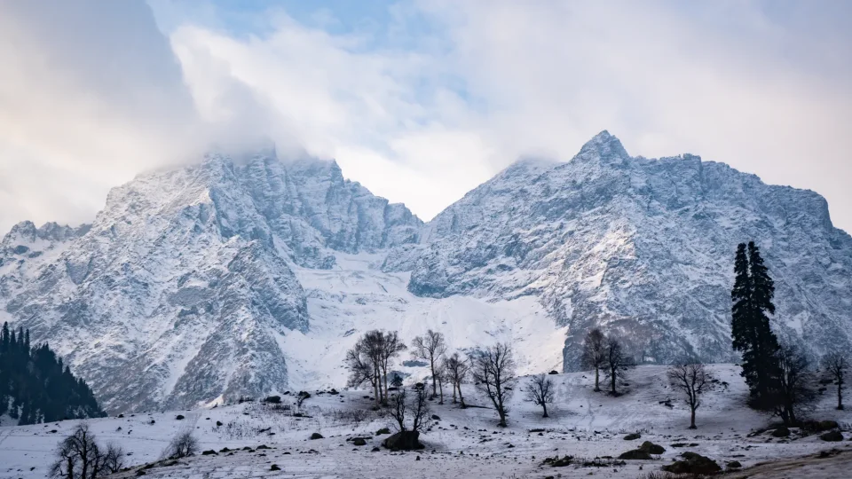 Breathtaking view of snow-covered mountains and trees in Sonamarg, Kashmir, during winter.